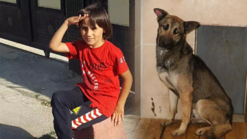 Emir Mete’nin ölümüne neden olan köpek barınağa kapatıldı: Bir daha sahiplendirilmeyecek