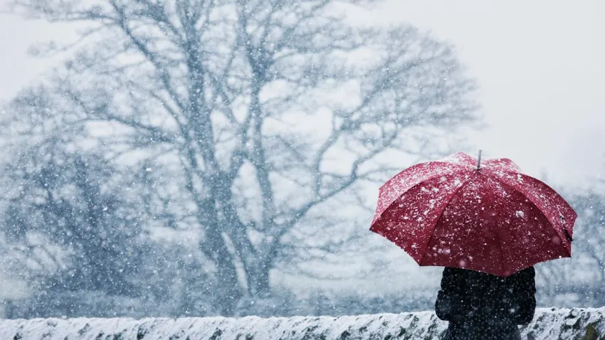 resim_2024-01-02_143443534