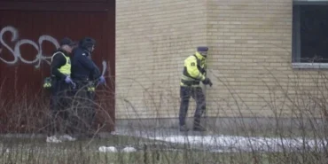 67a2153ce1d00517__w1200xh676