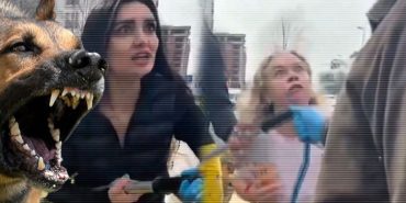 kendimizi-oldururuz-diyerek-engel-oldular-esenyurtta-basibos-sokak-kopeklerinin-toplanmasi-engellendi-17422899293482