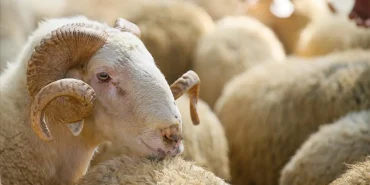 68072f7c782365f6b486ce49