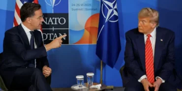 685bb9e11498a785__w1200xh674