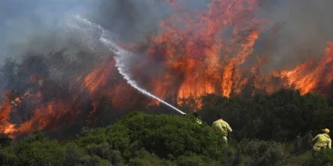 focada-orman-yanginina-4-ucakla-mudahale-2