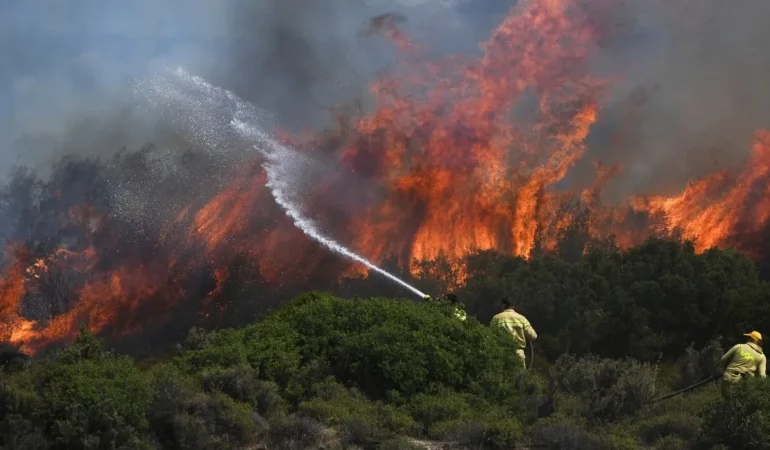 İzmir Foça’da Orman Yangını: 11 Uçak ve 13 Helikopterle Müdahale Sürüyor