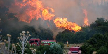 izmirde-orman-yangini-4km9