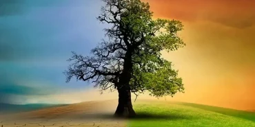 5a93920c-926b-43a5-a0f9-132842dbf8fe