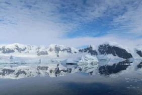 6866390dc7da4452__w1200xh675