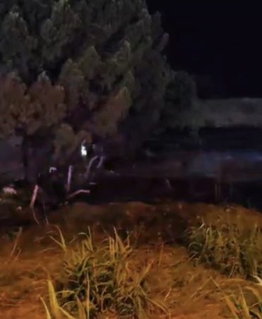 DÜĞÜNDEN ATILAN HAVAİ FİŞEK OTLUK ALANDA YANGIN ÇIKARDI, SALON BOŞALTILDI