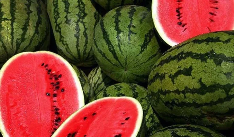 Karpuzda Plansız Ekim Fiyatları Vurdu: Tüketici de Üretici de Mağdur