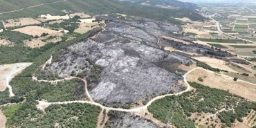 yenisehirde-500-futbol-sahasi-buyuklukte-alan-kul-oldu-1751105287