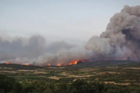 6894782ae487a459__w1200xh669