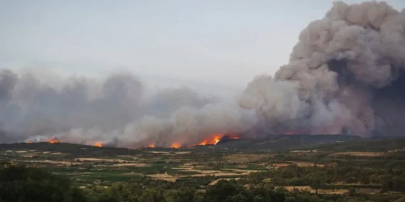 6894782ae487a459__w1200xh669