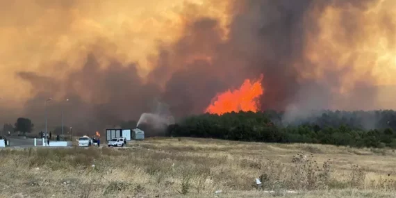 6895f052a60d5d48f9b8e53b