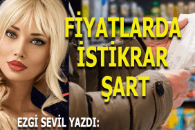 EZGİĞ SEVİL fiyatlar