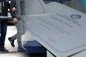 diploma