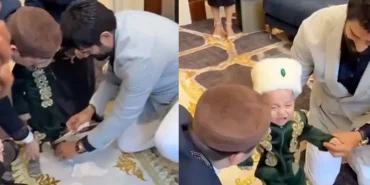 e73c8dab-e4aa-4663-9ca4-bd012a78d3c3