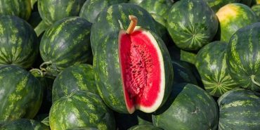 karpuzda-tarla-ile-market-fiyati-farki-3-kata-yukseldi-882562-5