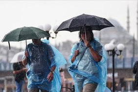 resized_60796-90ff90d1image