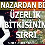 Başlıksız-1-Kurtarıldı-Kurtarıldı