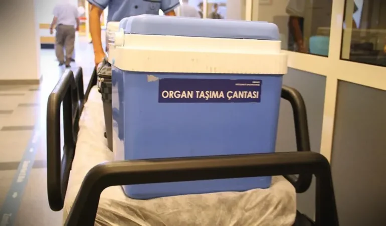 Organ Bağışında Yeni Dönem: Karar Resmî Gazete’de Yayımlandı