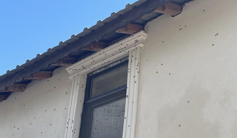 KOCA İLÇE EV HAPSİNE GİRDİ! KAPI PENCERE AÇAMIYORLAR