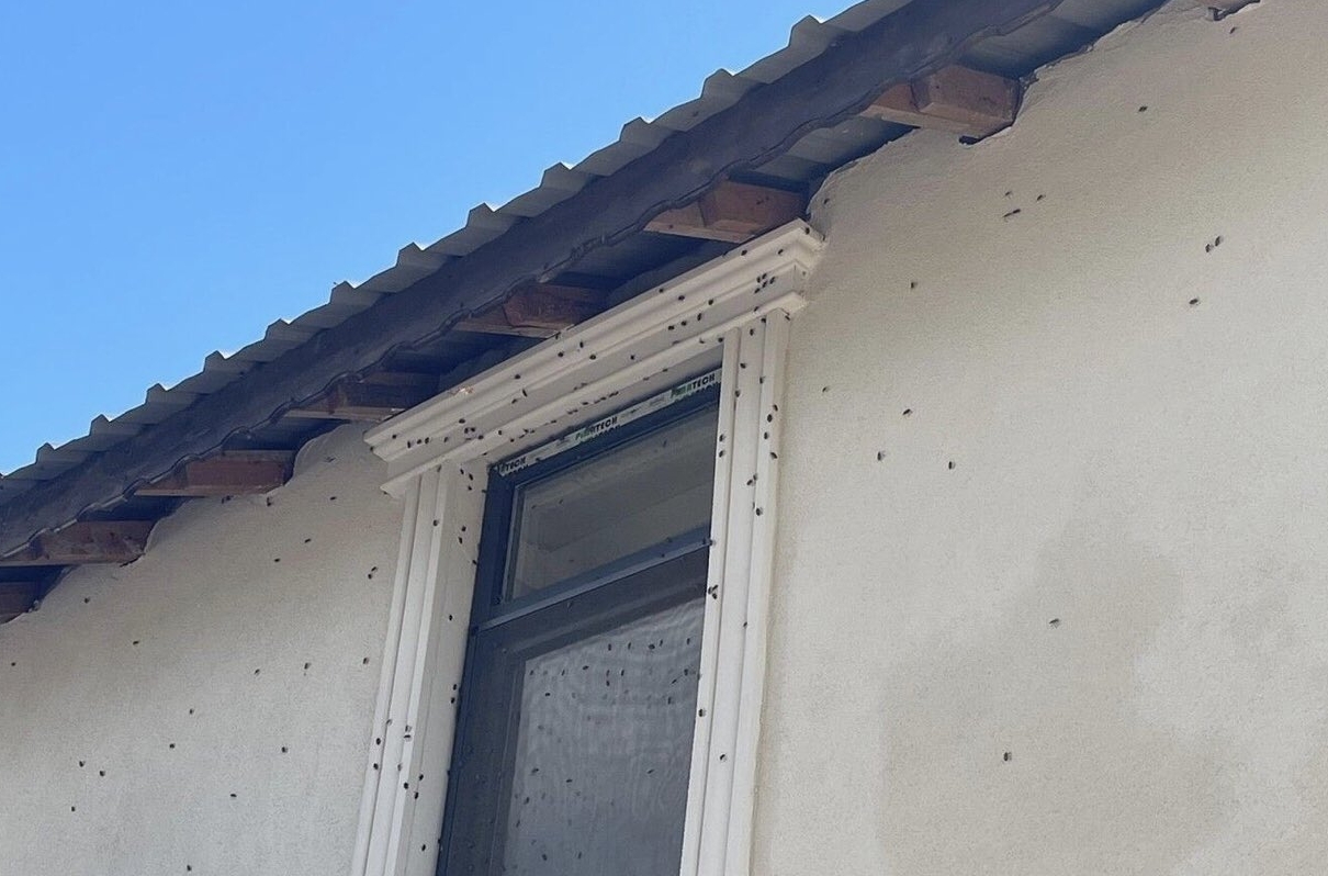 KOCA İLÇE EV HAPSİNE GİRDİ! KAPI PENCERE AÇAMIYORLAR