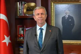 anne