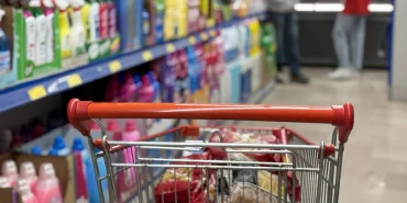 cumhurbaskani-erdogan-a-milli-erkek-basketbol-takimini-tebrik-etti-thhf