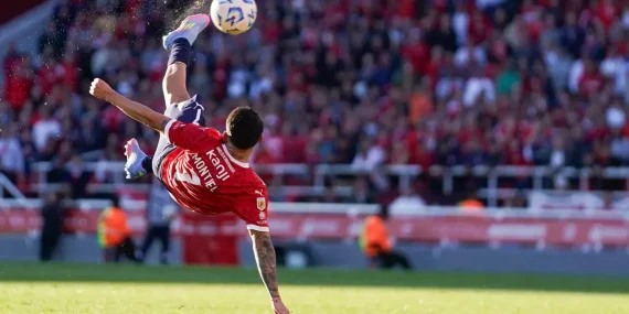 cumhurbaskani-erdogan-a-milli-erkek-basketbol-takimini-tebrik-etti-thhf