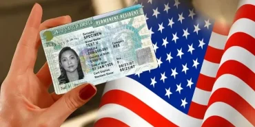 cumhurbaskani-erdogan-a-milli-erkek-basketbol-takimini-tebrik-etti-thhf