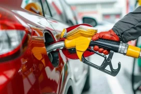 cumhurbaskani-erdogan-a-milli-erkek-basketbol-takimini-tebrik-etti-thhf