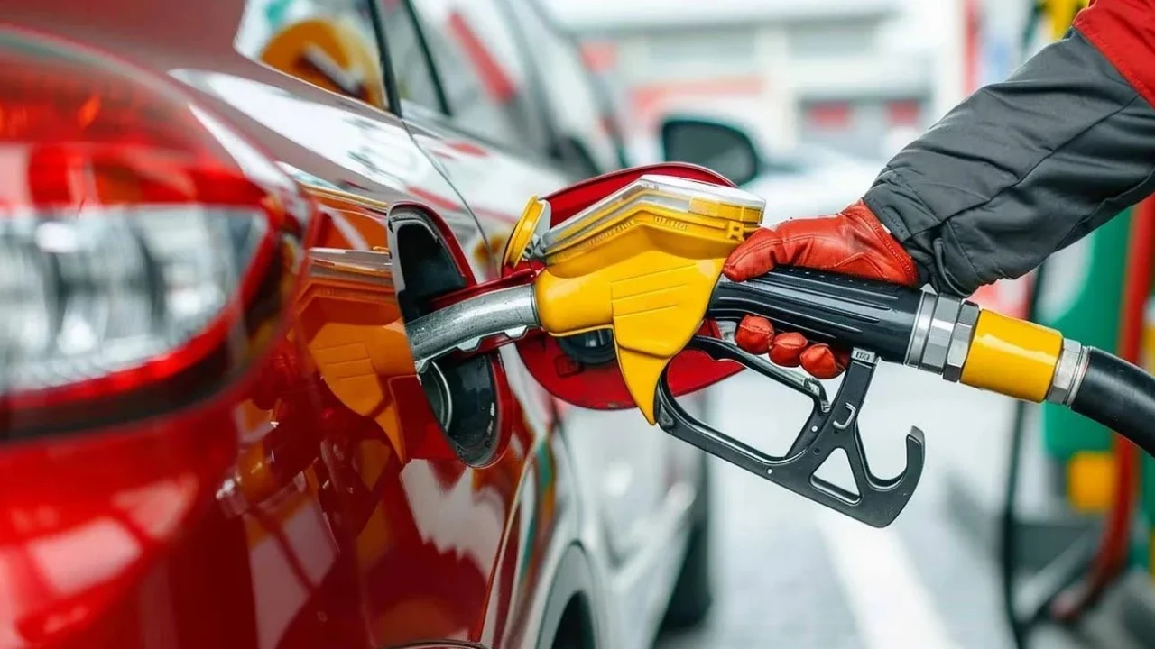 cumhurbaskani-erdogan-a-milli-erkek-basketbol-takimini-tebrik-etti-thhf