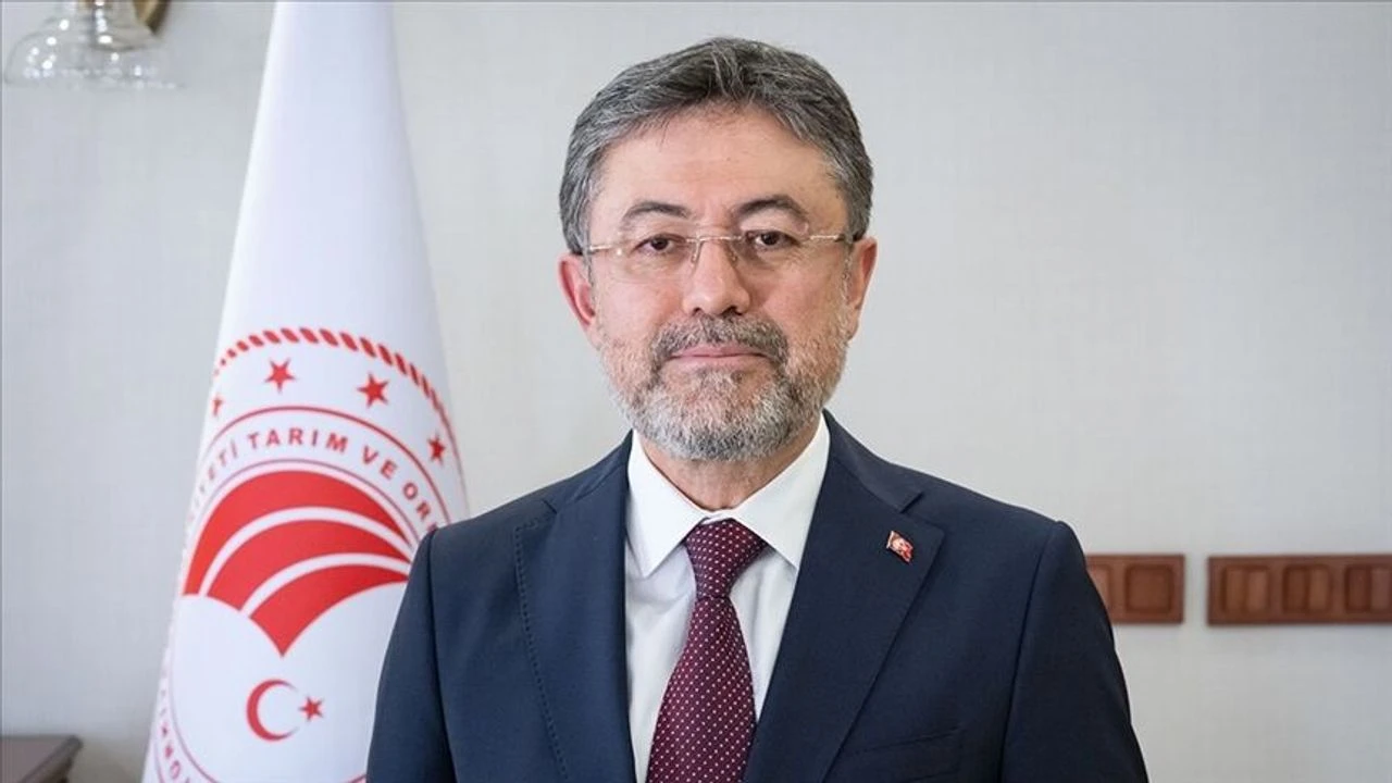 cumhurbaskani-erdogan-a-milli-erkek-basketbol-takimini-tebrik-etti-thhf