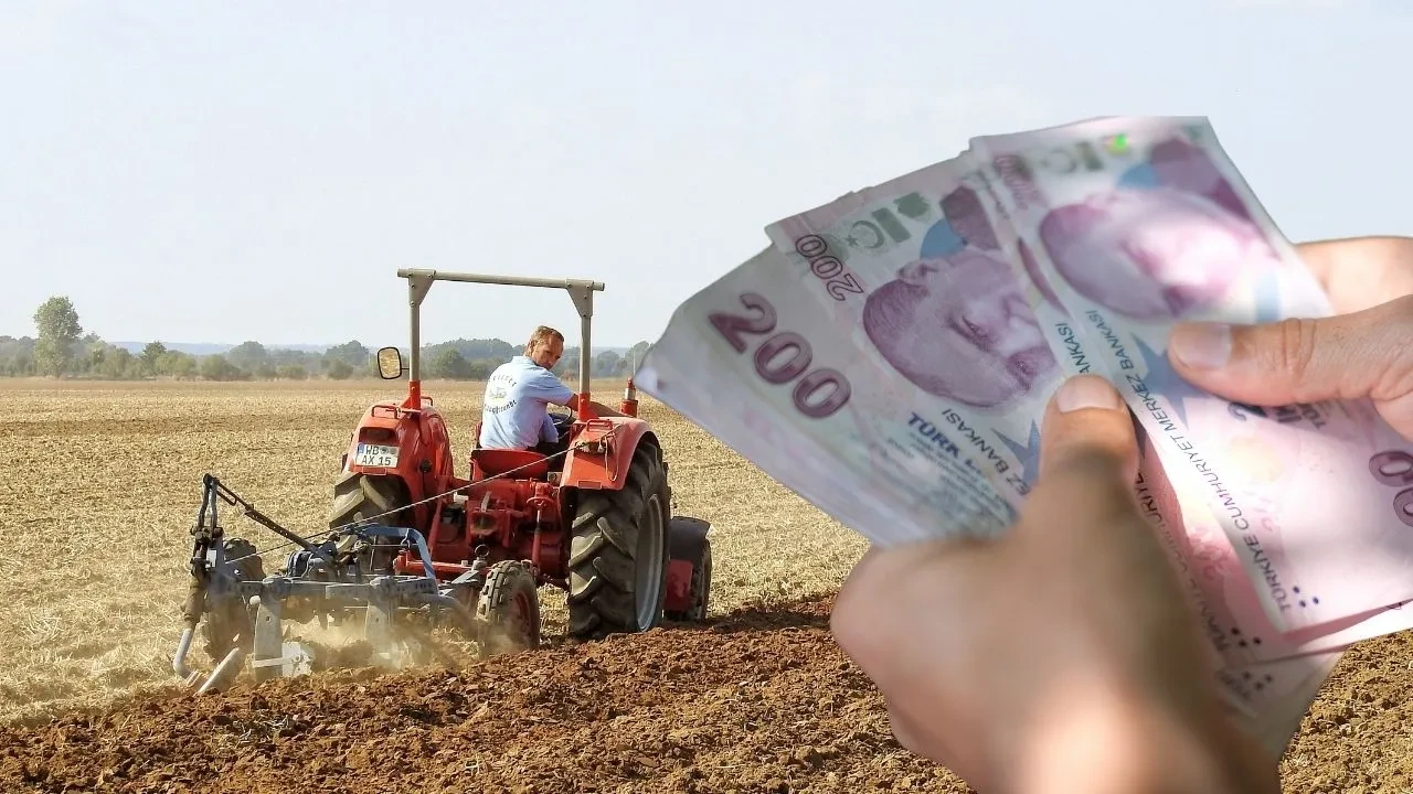 Tarımda fiyatlar fırladı! TÜİK verileri dikkat çekti
