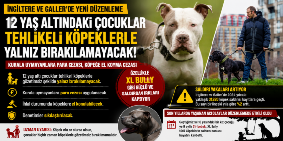 İngiltere’de Köpek Güvenliği Yasası: Çocuklara Yeni Koruma