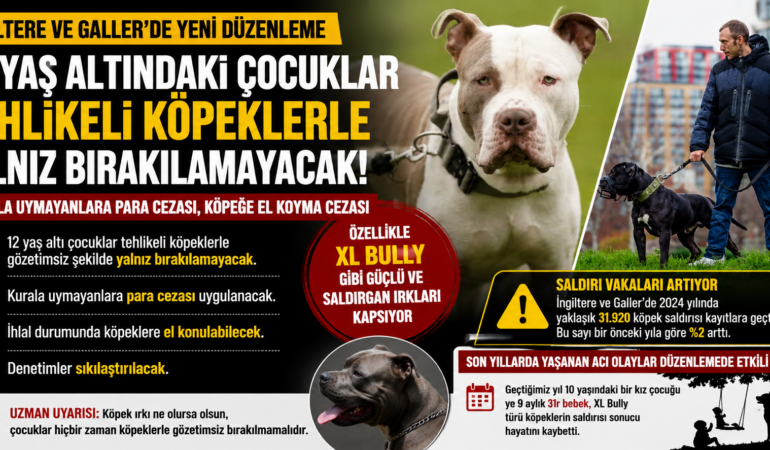 İngiltere’de Köpek Güvenliği Yasası: Çocuklara Yeni Koruma