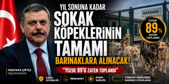Sokak hayvanları için yeni dönem: Çiftçi’den barınak açıklaması