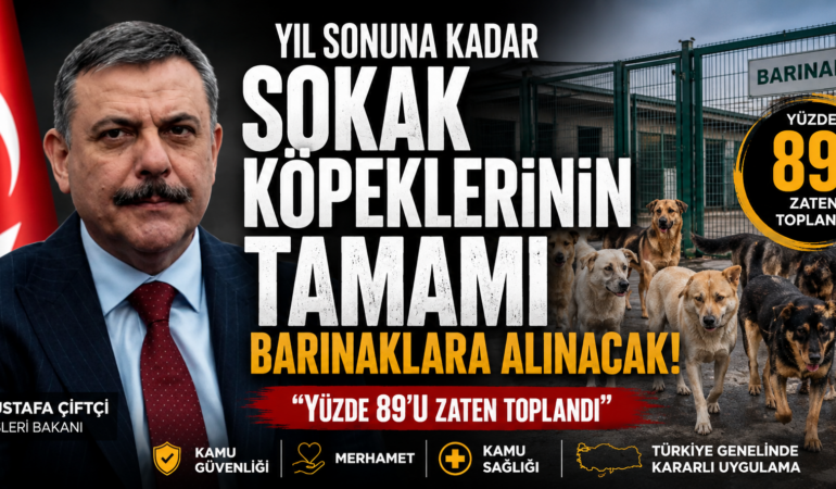 Sokak hayvanları için yeni dönem: Çiftçi’den barınak açıklaması