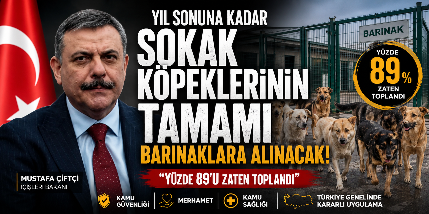 Sokak hayvanları için yeni dönem: Çiftçi’den barınak açıklaması