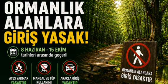 İstanbul’da Ormanlara Girişler Yasaklandı