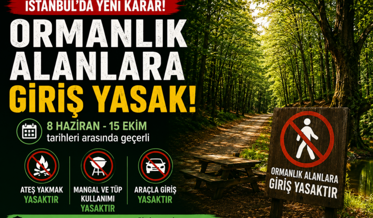 İstanbul’da Ormanlara Girişler Yasaklandı