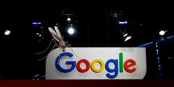 Google’dan sivrisineklere karşı dev hamle! 32 milyonluk plan gündemde