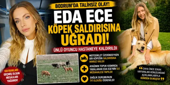 Bodrum’da Şoke Eden Olay! Eda Ece Köpek Saldırısına Uğradı