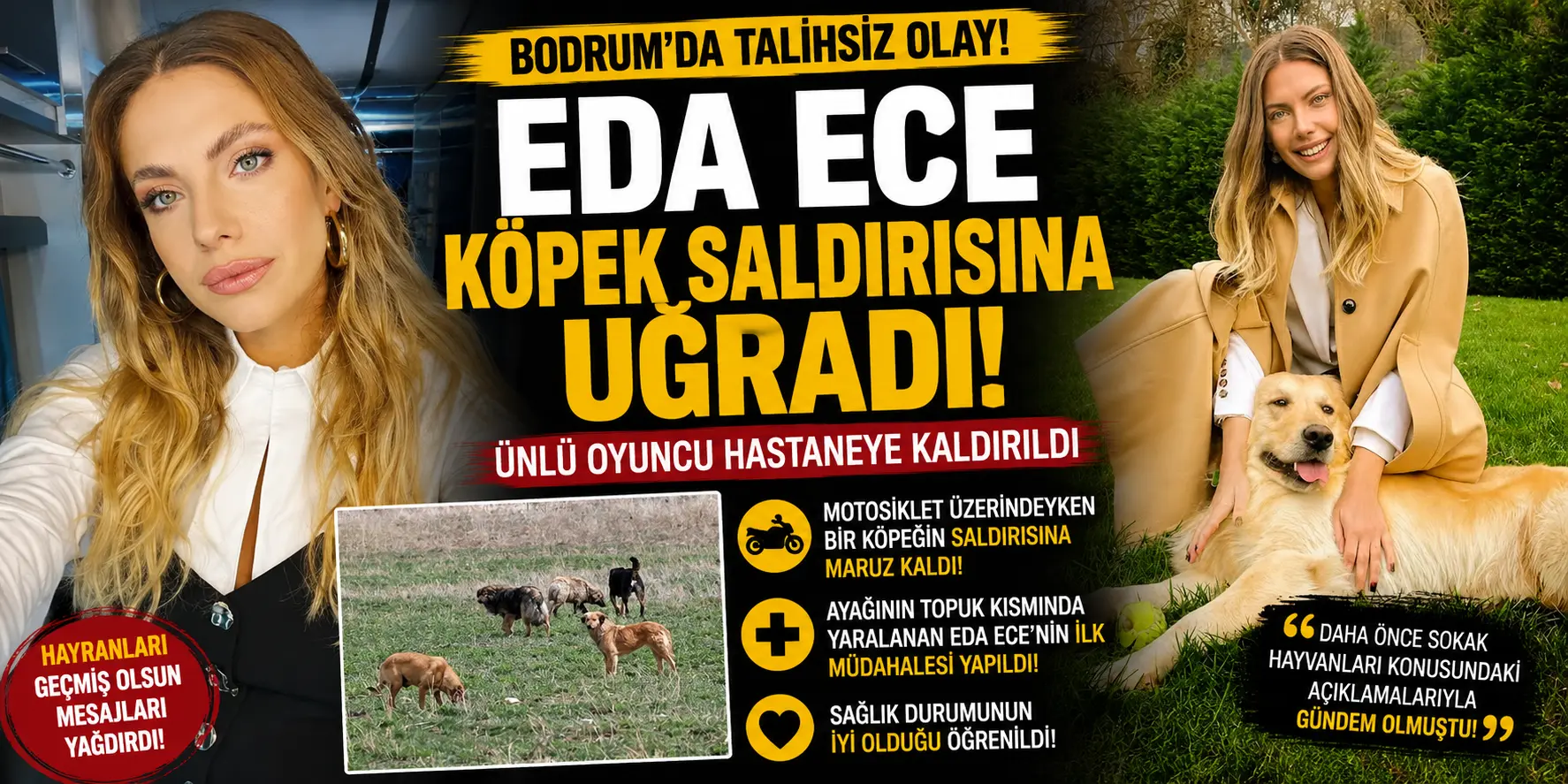 Bodrum’da Şoke Eden Olay! Eda Ece Köpek Saldırısına Uğradı