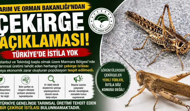 Çekirge Paniğine Son Nokta! Türkiye’de İstila Var mı? Bakanlık Açıkladı
