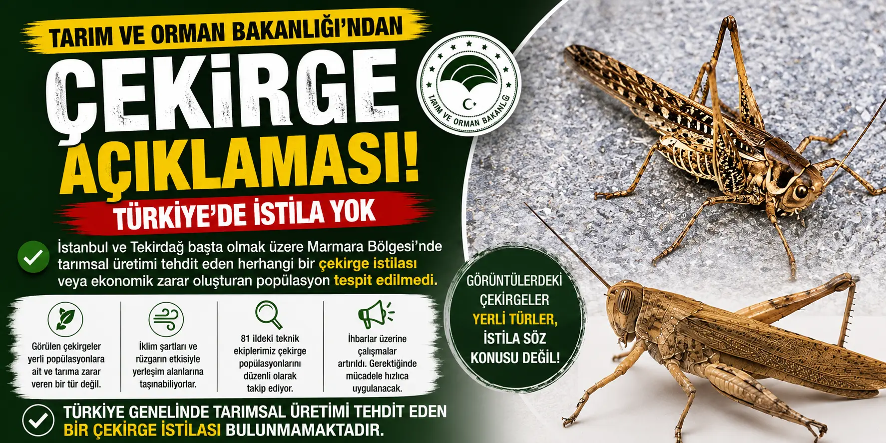 Çekirge Paniğine Son Nokta! Türkiye’de İstila Var mı? Bakanlık Açıkladı