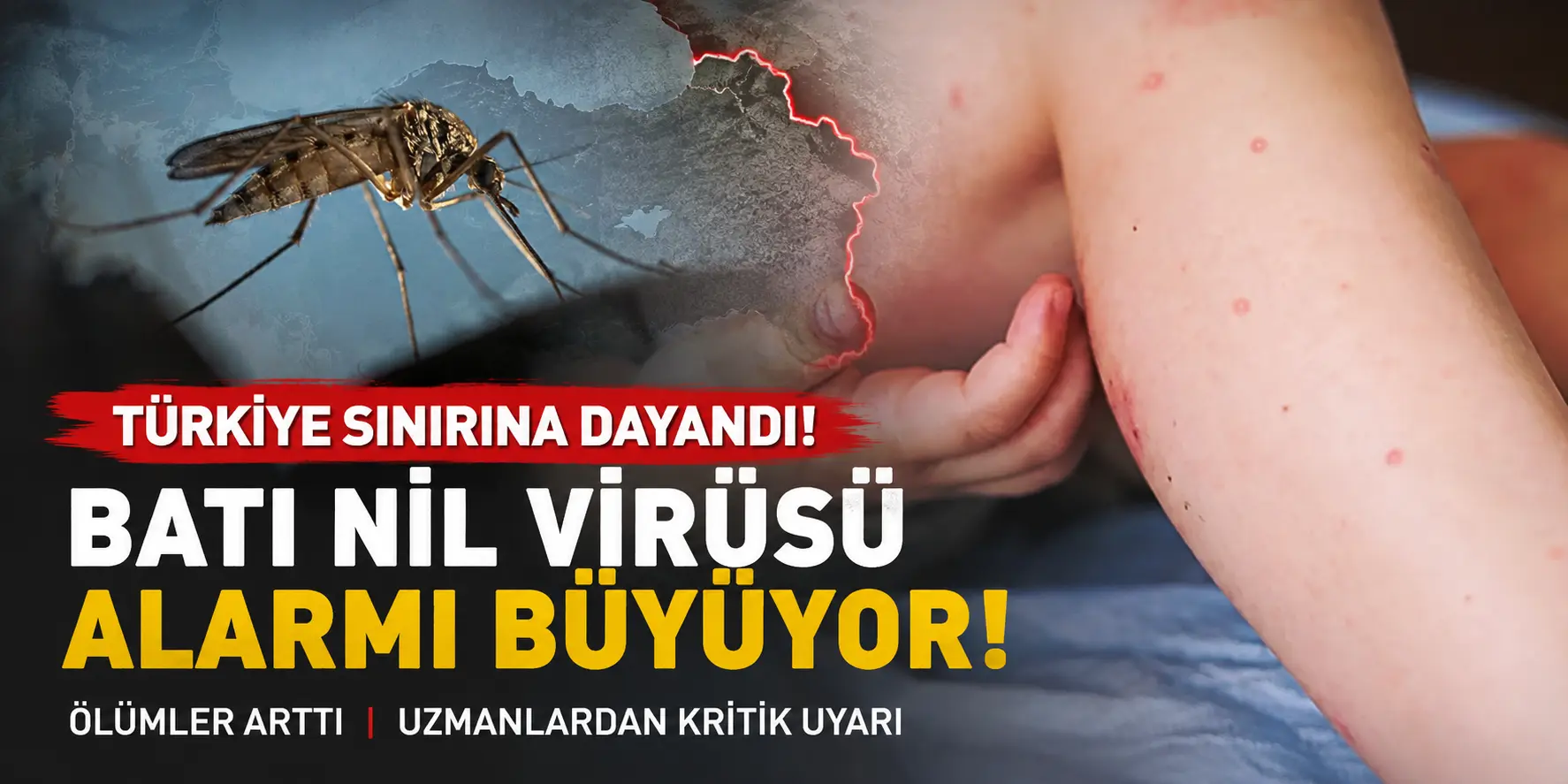 ChatGPT Image 12 Ağu 2026 11_56_15