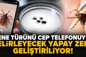 ChatGPT Görseli 28 Eyl 2026 15_45_21