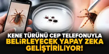 ChatGPT Görseli 28 Eyl 2026 15_45_21