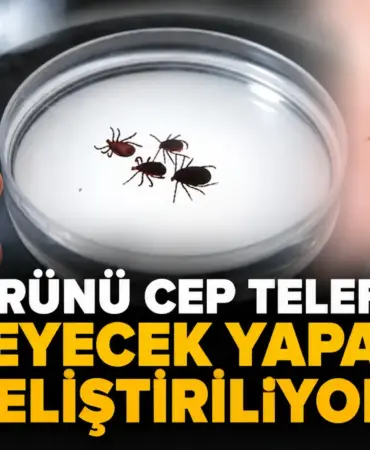 ChatGPT Görseli 28 Eyl 2026 15_45_21